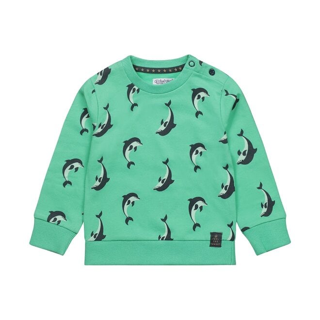 Dirkje, groen dolfijnen shirt